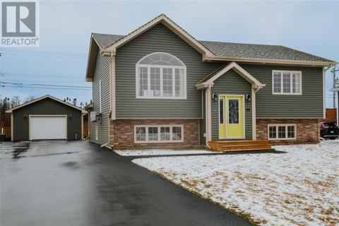44 Cochran Street, House detached with 2 bedrooms, 2 bathrooms and null parking in Gander NL | Card Image