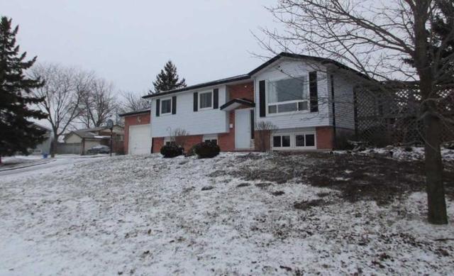 2031 Mapleridge Dr, House detached with 4 bedrooms, 2 bathrooms and 7 parking in Peterborough ON | Image 14