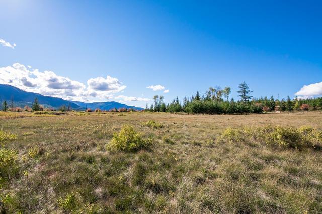 000 Cochrane Road, Home with 0 bedrooms, 0 bathrooms and null parking in North Okanagan E BC | Image 6