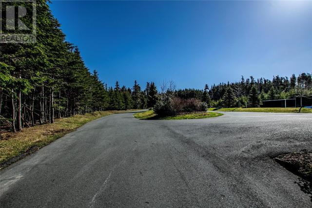 223 Olivers Pond Road, House detached with 4 bedrooms, 4 bathrooms and null parking in Portugal Cove St. Philip's NL | Image 47