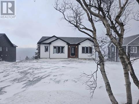 221 Dogberry Hill Road, St. Phillips, NL, A1M1C5 | Card Image