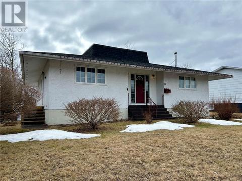 117 Goodyear Avenue, House detached with 4 bedrooms, 1 bathrooms and null parking in Grand Falls-Windsor NL | Card Image