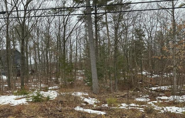 lot 19 Highway 36, House detached with 3 bedrooms, 2 bathrooms and 8 parking in Kawartha Lakes ON | Image 2