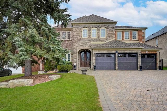 1154 Secretariate Rd, House detached with 5 bedrooms, 5 bathrooms and 9 parking in Newmarket ON | Image 1