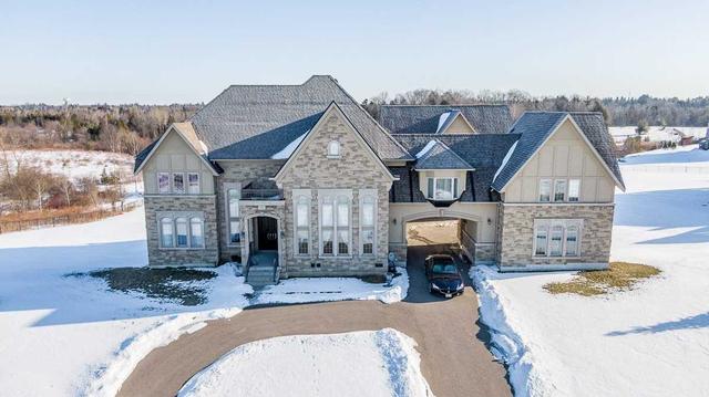 115 Stallions Crt, House detached with 6 bedrooms, 8 bathrooms and 13 parking in Vaughan ON | Image 1