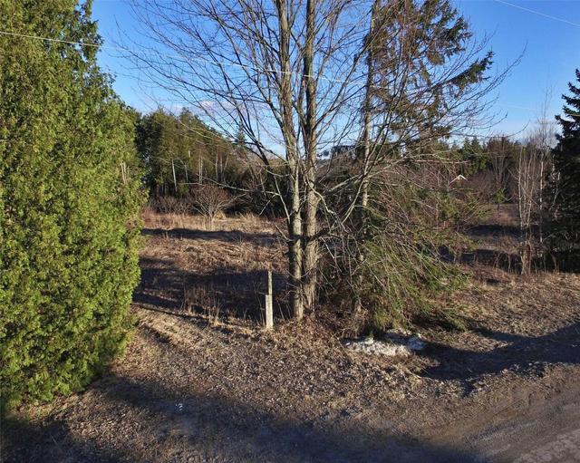 0 Wispi Shore Rd, Home with 0 bedrooms, null bathrooms and null parking in Kawartha Lakes ON | Image 6