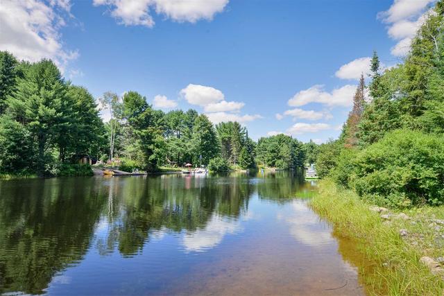 48 Cedar Shores Rd, House detached with 1 bedrooms, 1 bathrooms and 10 parking in Bracebridge ON | Image 19