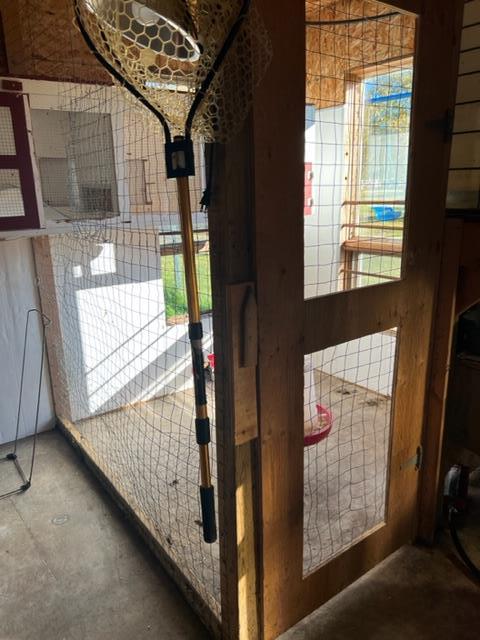 Chicken coop inside barn | Image 36