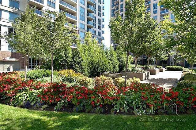 Lph 3 - 7 Michael Power Pl, Condo with 2 bedrooms, 2 bathrooms and 1 parking in Toronto ON | Image 17