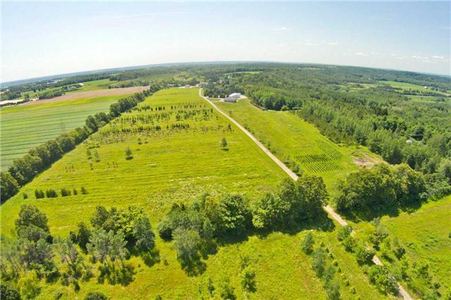 2752 Line 13 Line, House detached with 4 bedrooms, 5 bathrooms and 20 parking in Oro Medonte ON | Image 20