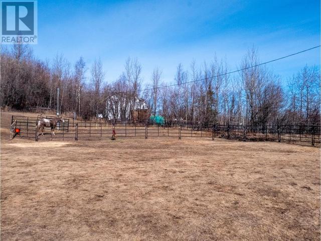 13169 Mckinnon Subdivision, House other with 3 bedrooms, 1 bathrooms and null parking in Peace River D BC | Image 31