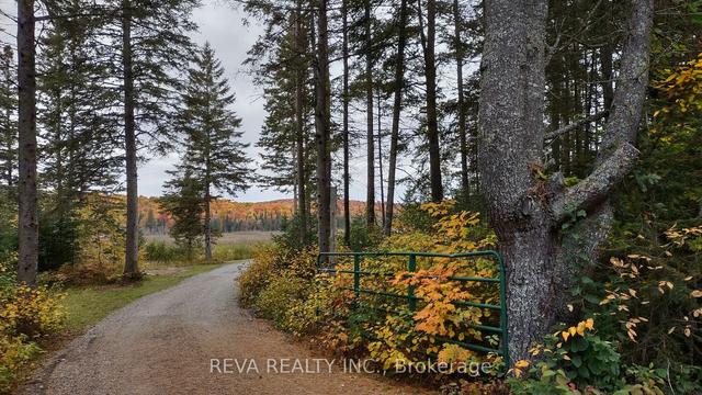 801 Highway 127, House detached with 2 bedrooms, 2 bathrooms and 7 parking in Hastings Highlands ON | Image 26