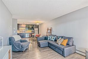 303 - 1917 24a Street Sw, Condo with 2 bedrooms, 1 bathrooms and 1 parking in Calgary AB | Image 10