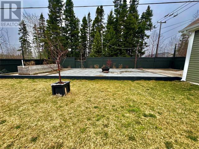 46 Forester Street, House detached with 3 bedrooms, 3 bathrooms and null parking in Gander NL | Image 50