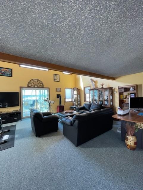 464092 Rg Rd 65a, House detached with 3 bedrooms, 2 bathrooms and 6 parking in Wainwright No. 61 AB | Image 13