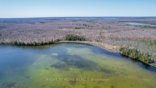 164 Sugar Bush Rd, House detached with 1 bedrooms, 0 bathrooms and 0 parking in Kawartha Lakes ON | Image 4