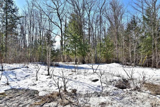 00 Highway 36 Rd, Home with 0 bedrooms, null bathrooms and null parking in Kawartha Lakes ON | Image 3