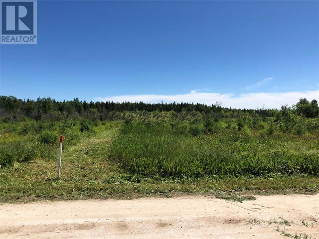 lot9 Upper Tanquil Waters Road, Home with 0 bedrooms, 0 bathrooms and null parking in Reidville NL | Image 3
