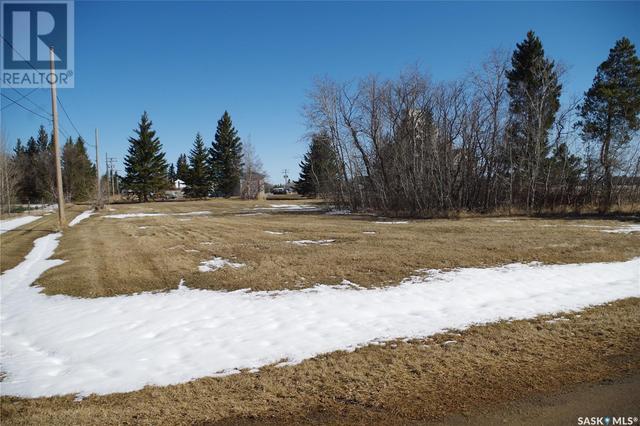 501 4th Street S, Home with 0 bedrooms, 0 bathrooms and null parking in Spalding SK | Image 1