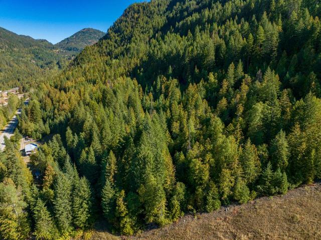 1110 Highway 22, House detached with 3 bedrooms, 1 bathrooms and null parking in Kootenay Boundary B BC | Image 53