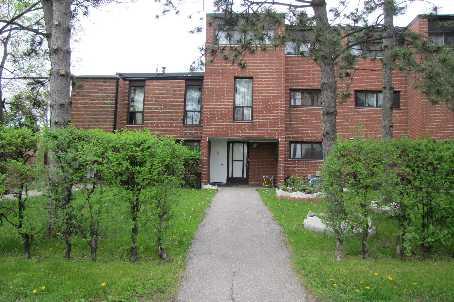 02 - 380 Driftwood Ave, Townhouse with 4 bedrooms, 3 bathrooms and 1 parking in Toronto ON | Image 1