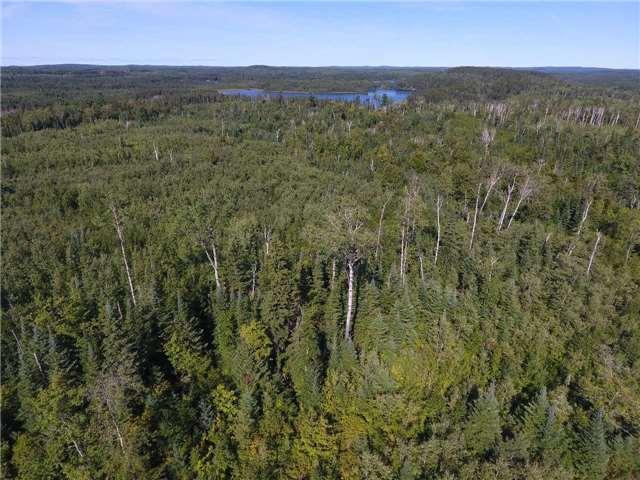 00 Flavelle Twp, Home with 0 bedrooms, null bathrooms and null parking in Timiskaming, Unorganized, West Part ON | Image 18