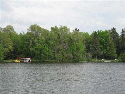 lot 9 Hargrave Rd, Home with 0 bedrooms, 0 bathrooms and null parking in Kawartha Lakes ON | Image 1