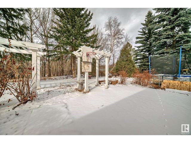 96 Fountain Creek Dr, House detached with 3 bedrooms, 3 bathrooms and 9 parking in Edmonton AB | Image 48