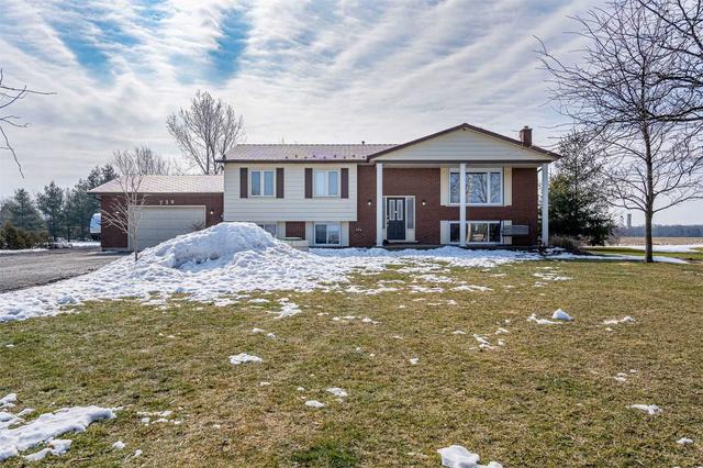 736 Metler Rd, House detached with 3 bedrooms, 2 bathrooms and 13 parking in Pelham ON | Image 12