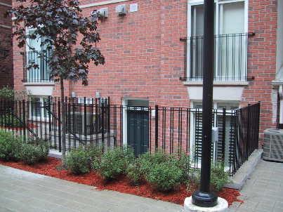 th110 - 415 Jarvis St, Townhouse with 2 bedrooms, 1 bathrooms and 1 parking in Toronto ON | Image 1