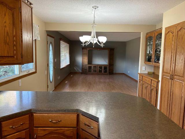 5021 46 Street, House detached with 3 bedrooms, 2 bathrooms and 4 parking in Daysland AB | Image 13