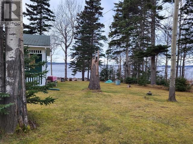 94 Comfort Cove Road, House detached with 2 bedrooms, 1 bathrooms and null parking in Campbellton NL | Image 17