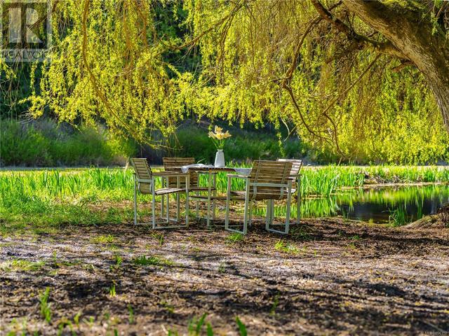 dining under the willow tree | Image 53
