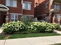 1 - 2444 Post Rd, Townhouse with 2 bedrooms, 2 bathrooms and 1 parking in Oakville ON | Image 6