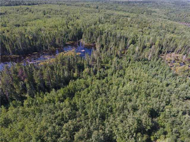 00 Flavelle Twp, Home with 0 bedrooms, null bathrooms and null parking in Timiskaming, Unorganized, West Part ON | Image 9