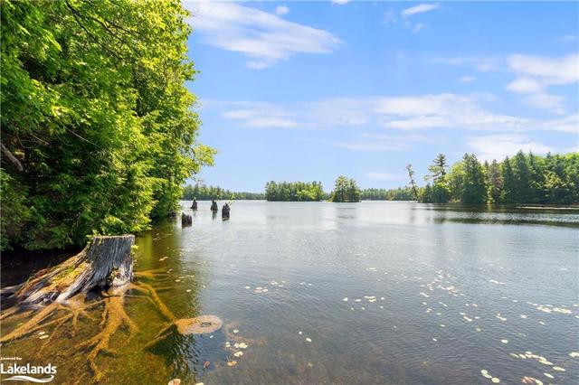 80 Sugar Loaf Lane, House detached with 3 bedrooms, 1 bathrooms and 3 parking in Georgian Bay ON | Image 30