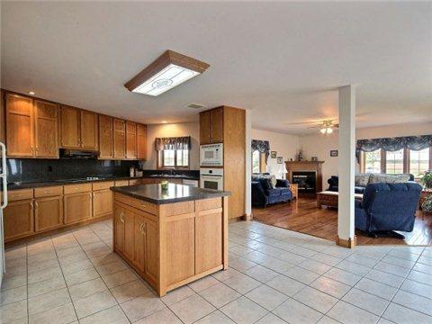 8620 Short Snake Lane, House detached with 5 bedrooms, 5 bathrooms and 20 parking in LaSalle ON | Image 3