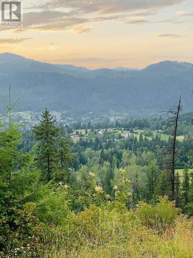 323 Webster Rd, House detached with 4 bedrooms, 1 bathrooms and 6 parking in Kootenay Boundary A BC | Image 14