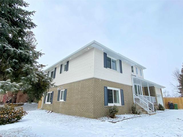 81 Dixfield Dr, House detached with 5 bedrooms, 3 bathrooms and 3 parking in Toronto ON | Image 19