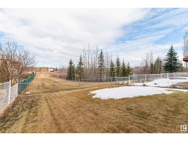 348 Wild Rose Wy Nw, House detached with 3 bedrooms, 3 bathrooms and null parking in Edmonton AB | Image 54