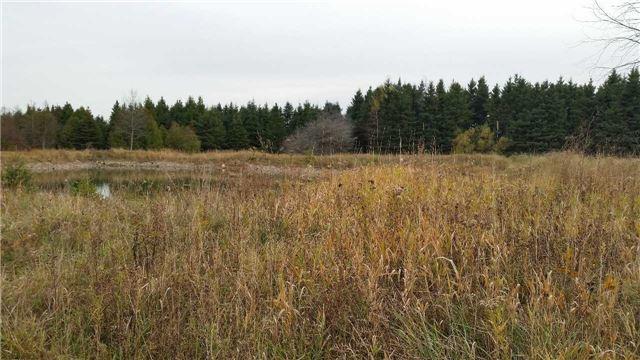 lt #12 - lot 17 4th Line, Home with 0 bedrooms, 0 bathrooms and null parking in Melancthon ON | Image 5