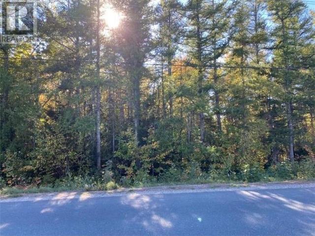 lot 971 Route 117, Home with 0 bedrooms, 0 bathrooms and null parking in Carleton NB | Image 3