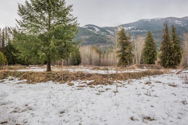 101 Champion Park Road, House detached with 4 bedrooms, 2 bathrooms and null parking in Kootenay Boundary A BC | Image 91