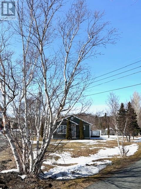 2 Bayview Road Extension, House detached with 2 bedrooms, 1 bathrooms and null parking in Clarenville NL | Image 11