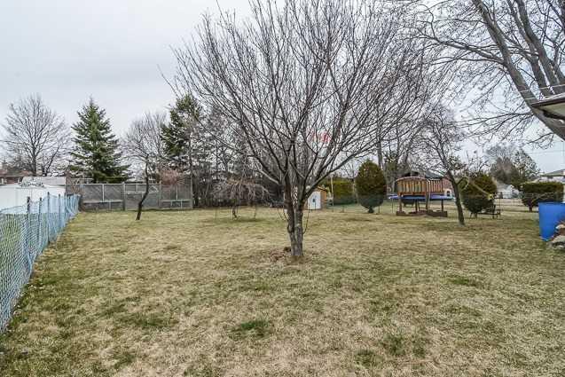 362 Trafalgar Ave, House detached with 3 bedrooms, 2 bathrooms and 5 parking in Oshawa ON | Image 19
