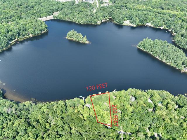 1164 Clearwater Shores Blvd, House detached with 2 bedrooms, 1 bathrooms and 6 parking in Muskoka Lakes ON | Image 12