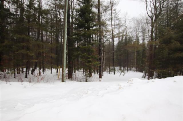 0 Rantz Road, House detached with 2 bedrooms, 2 bathrooms and 10 parking in Petawawa ON | Image 6