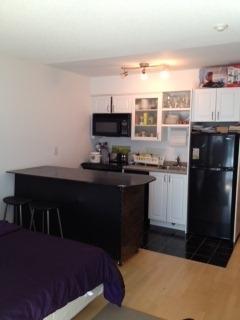 513 - 600 Fleet St, Condo with 0 bedrooms, 1 bathrooms and null parking in Toronto ON | Image 1