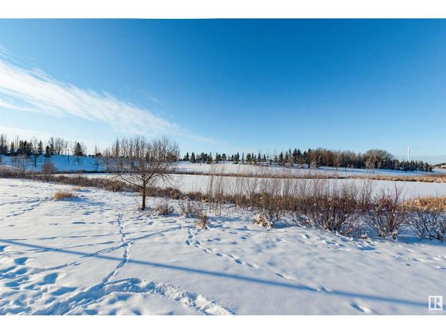 5 - 604 62 St Sw, House attached with 2 bedrooms, 1 bathrooms and null parking in Edmonton AB | Image 22