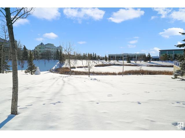 231 - 2520 50 St Nw, Condo with 2 bedrooms, 1 bathrooms and 1 parking in Edmonton AB | Image 44